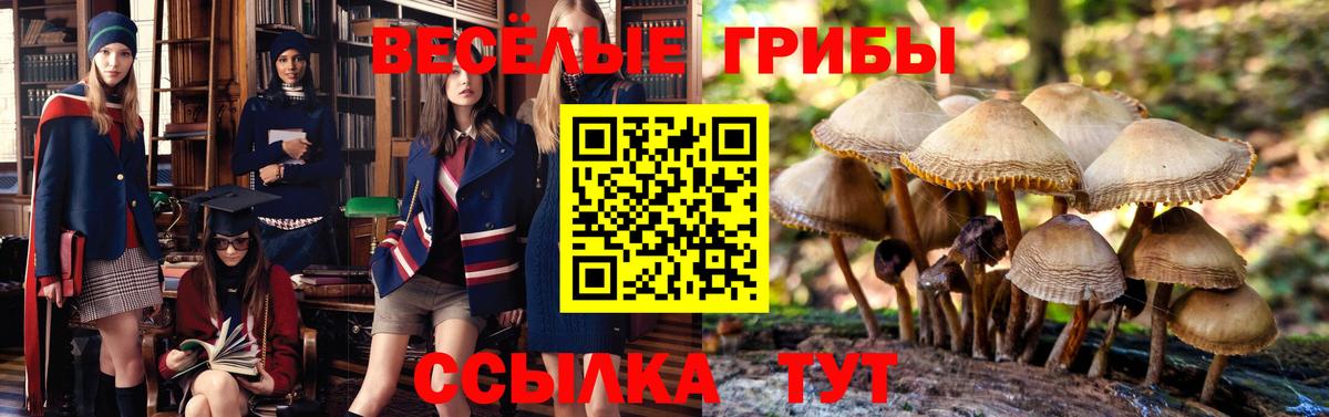 Псилоцибиновые грибы мухоморы Великий Устюг