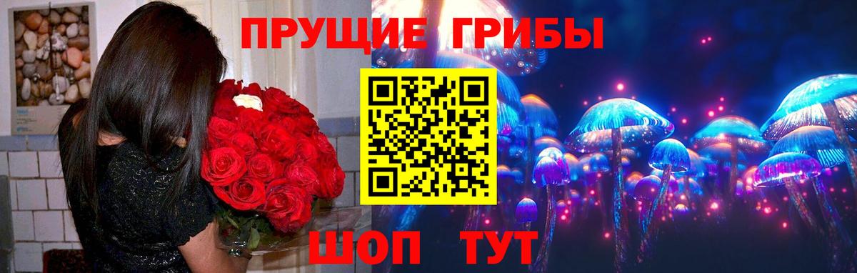 Псилоцибиновые грибы прущие грибы  Псилоцибиновые грибы MAGIC MUSHROOMS  Великий Устюг  Вход с VPN 