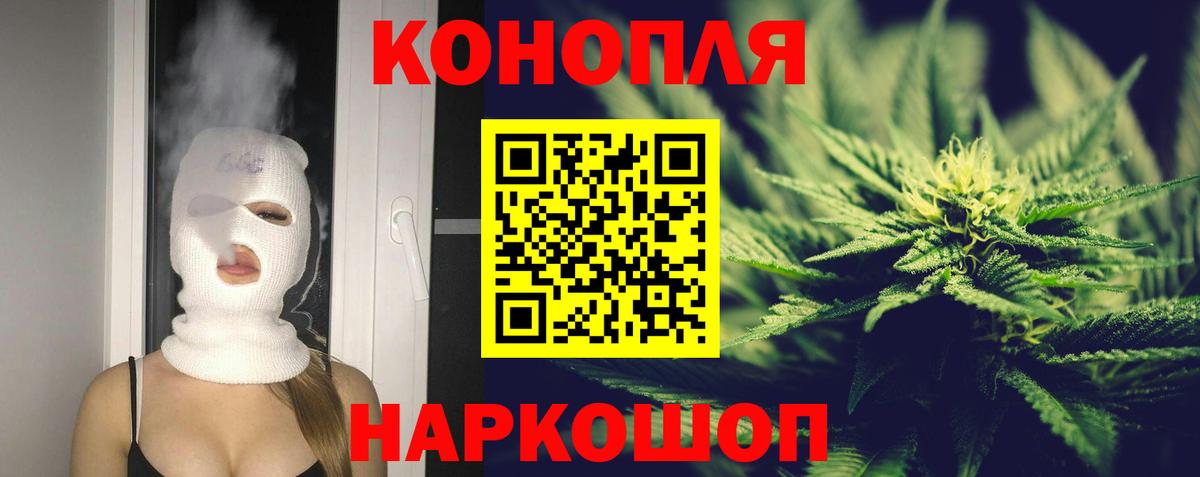 Бошки Шишки план Великий Устюг